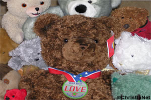Wild and Ferocious Teddy Bear